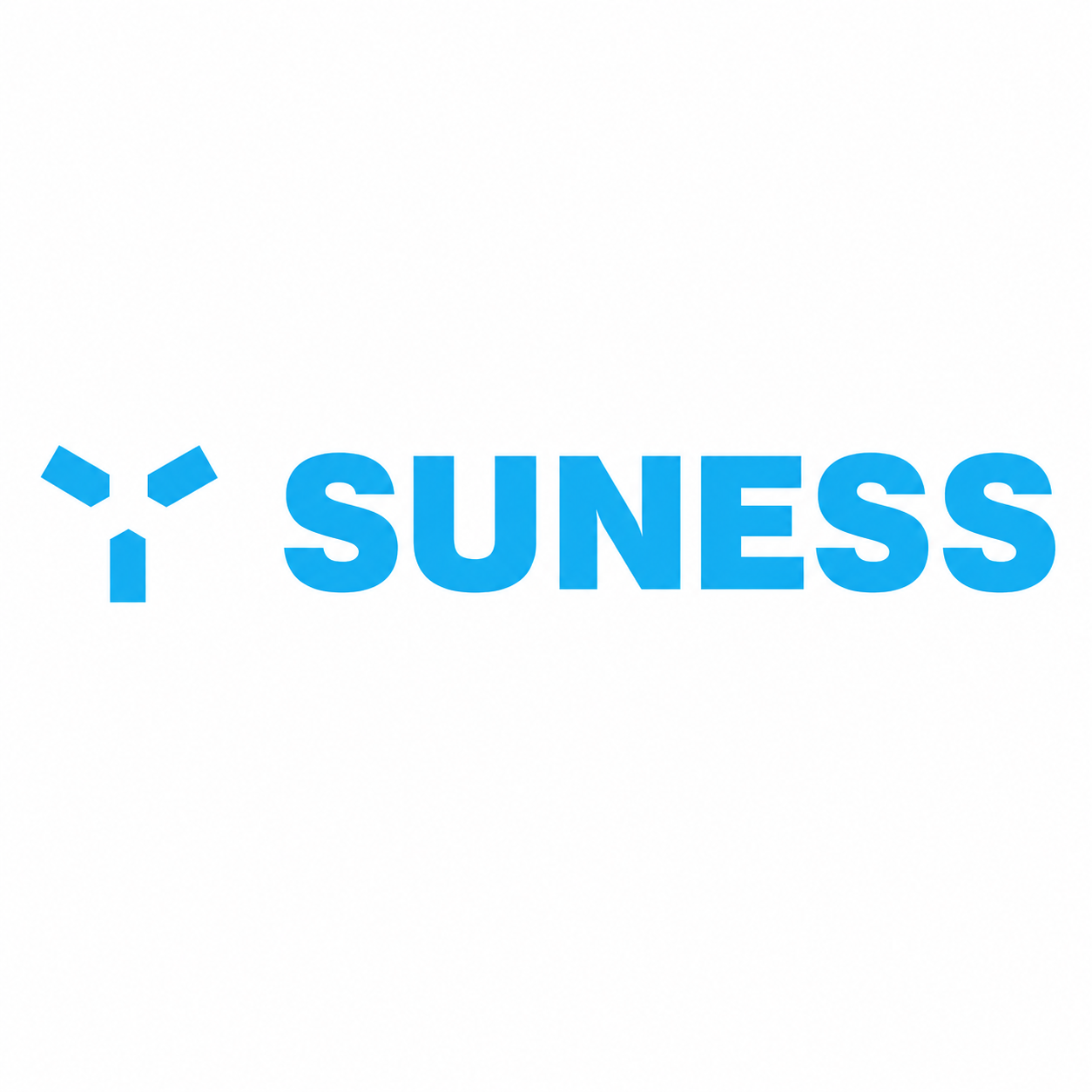Suness Battery