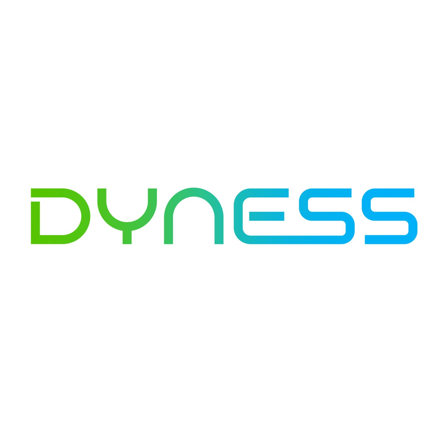 Dyness Battery